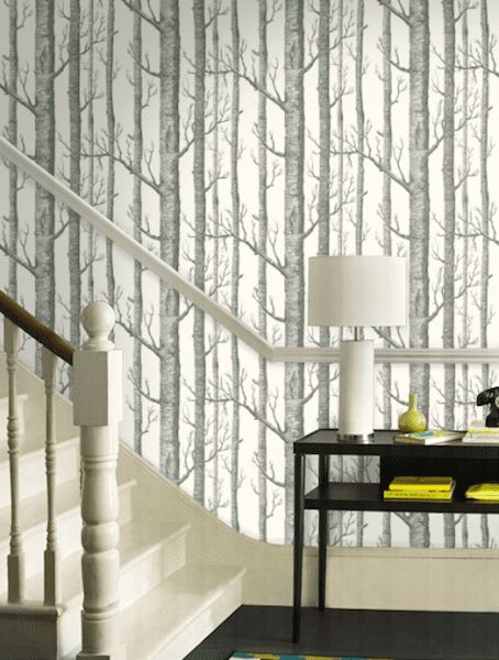 Woods New Contemporary Two by Cole & Sons wallpaper via Refined Rooms