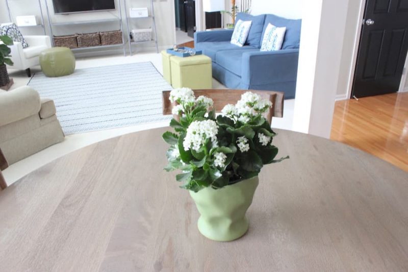 using flowers and plants when staging a home for sale