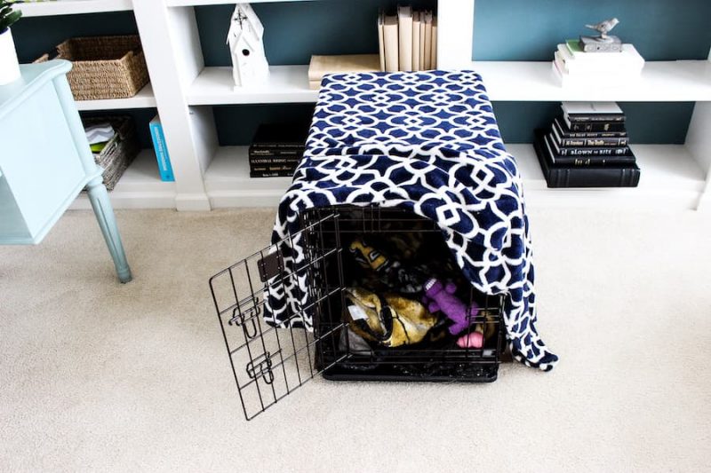 dog crate in home office