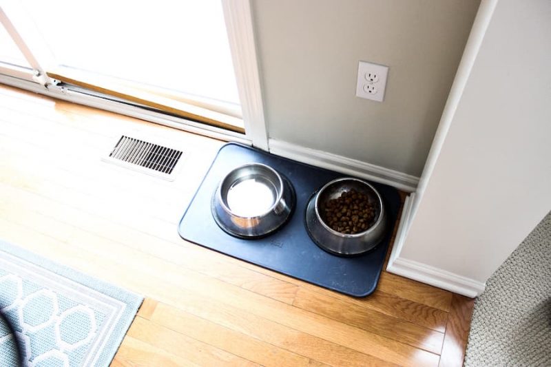 dog bowls on kitchen floor