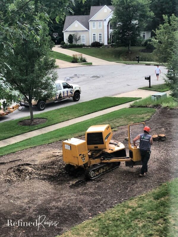man grinding stumps as part of a large landscaping project.